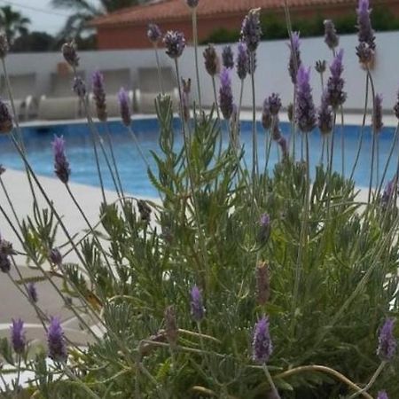 Villa Marti Calpe Ngoại thất bức ảnh